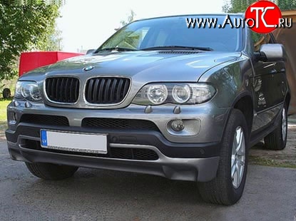 4 999 р. Накладка Sport Package на передний бампер (4.8is) BMW X5 E53 дорестайлинг (1999-2003) (Кузов: дорестайлинг)  с доставкой в г. Нижний Новгород