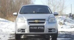 1 039 р. Защитная сетка решетки переднего бампера RA Chevrolet Aveo T250 седан рестайлинг (2006-2011)  с доставкой в г. Нижний Новгород. Увеличить фотографию 3