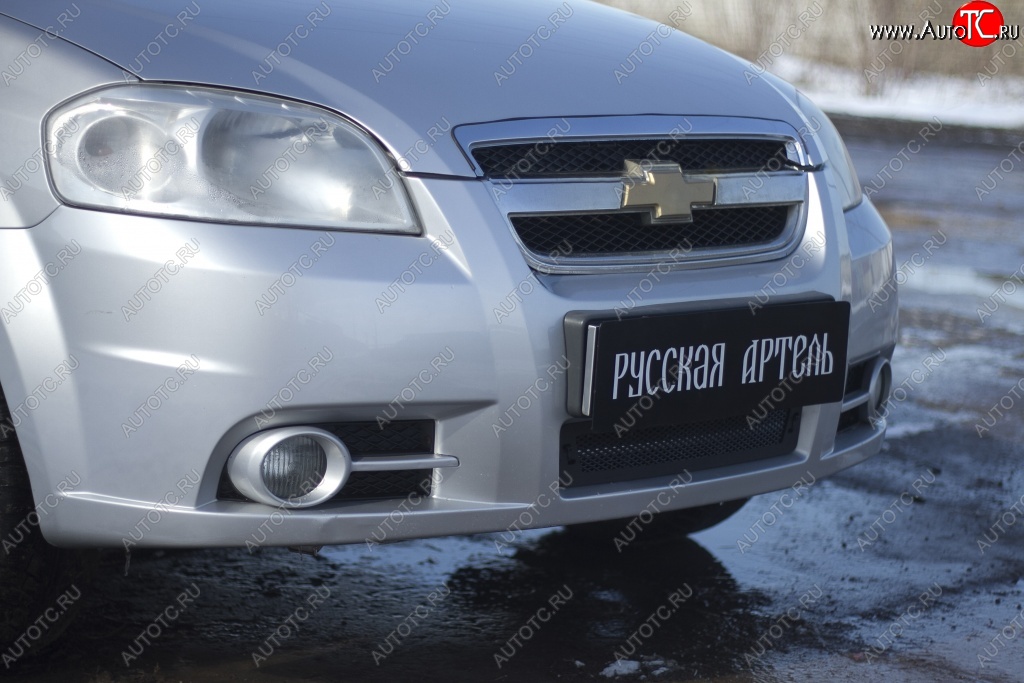 1 039 р. Защитная сетка решетки переднего бампера RA Chevrolet Aveo T250 седан рестайлинг (2006-2011)  с доставкой в г. Нижний Новгород