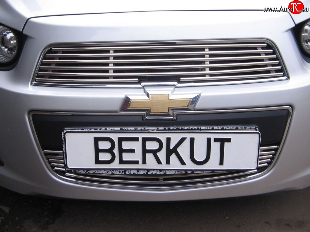 3 999 р. Декоративная вставка воздухозаборника Berkut  Chevrolet Aveo  T300 (2011-2015) седан, хэтчбек  с доставкой в г. Нижний Новгород