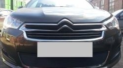 Сетка на бампер (седан) Russtal (черная) CITROEN (Ситроен) C4 (С4)  B7 (2011-2018) B7 хэтчбэк 5 дв.