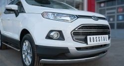 15 649 р. Защита переднего бампера (Ø75х42 мм, нержавейка) Russtal Ford EcoSport дорестайлинг (2013-2019)  с доставкой в г. Нижний Новгород. Увеличить фотографию 2