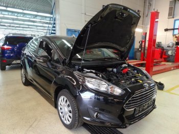 1 549 р. Упор капота Russtal Ford Fiesta 6 хэтчбэк 3 дв. дорестайлинг (2008-2013)  с доставкой в г. Нижний Новгород. Увеличить фотографию 1