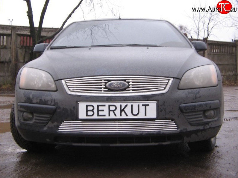 4 999 р. Декоративная вставка решетки радиатора Berkut Ford Focus 2 универсал дорестайлинг (2004-2008)  с доставкой в г. Нижний Новгород