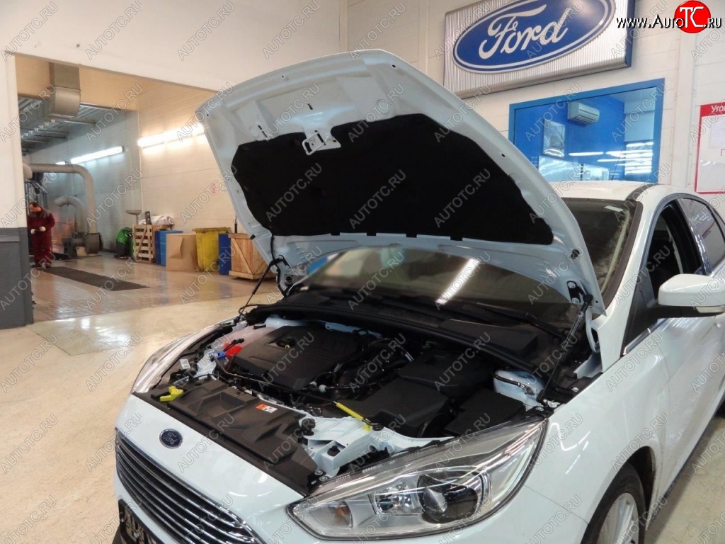 2 199 р. Газовые упоры капота Berkut Ford Focus 3 универсал дорестайлинг (2010-2015)  с доставкой в г. Нижний Новгород