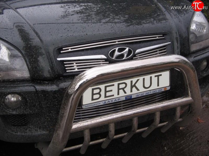 4 799 р. Декоративная вставка воздухозаборника Berkut Hyundai Tucson JM (2004-2010)  с доставкой в г. Нижний Новгород