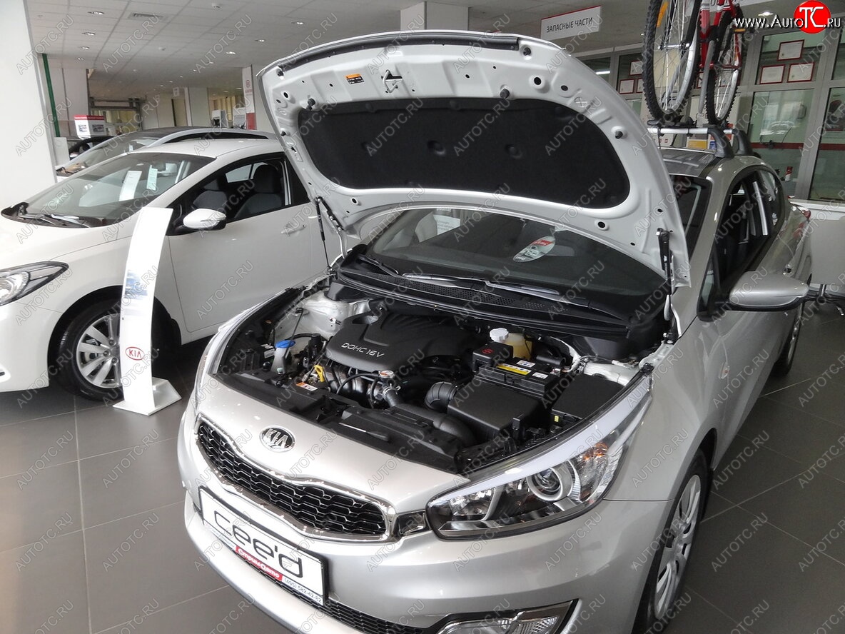 2 049 р. Упоры капота Russtal KIA Ceed 2 JD дорестайлинг универсал (2012-2016)  с доставкой в г. Нижний Новгород