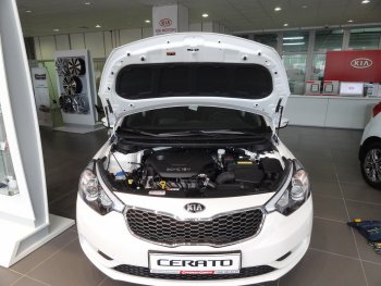 Упоры капота Russtal KIA Cerato 3 YD дорестайлинг седан (2013-2016)