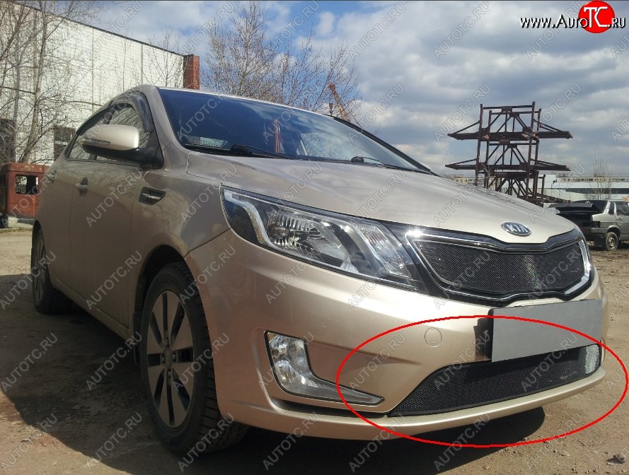 2 199 р. Нижняя защитная сетка на бампер Russtal (черная) KIA Rio 3 QB дорестайлингхэтчбек5дв. (2011-2015)  с доставкой в г. Нижний Новгород