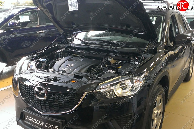 2 199 р. Газовые упоры капота Berkut Mazda CX-5 KE дорестайлинг (2011-2014)  с доставкой в г. Нижний Новгород