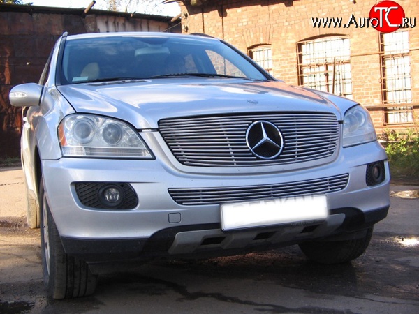 9 399 р. Декоративная вставка решетки радиатора Berkut Mercedes-Benz ML class W164 дорестайлинг (2005-2008)  с доставкой в г. Нижний Новгород