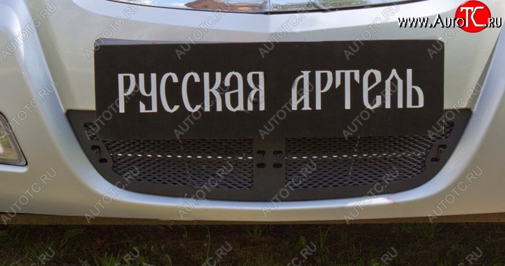 1 769 р. Защитная сетка решетки переднего бампера РА Nissan Almera Classic седан B10 (2006-2013)  с доставкой в г. Нижний Новгород