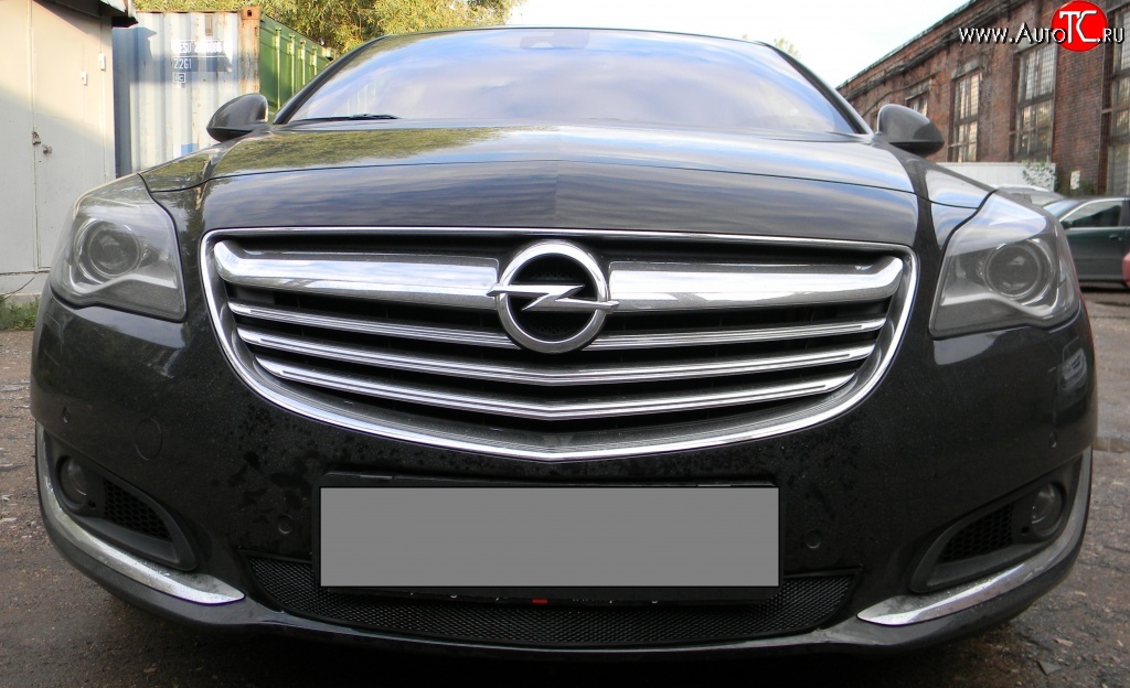 1 469 р. Сетка на бампер (рестайлинг) Russtal (черная) Opel Insignia A дорестайлинг седан (2008-2013)  с доставкой в г. Нижний Новгород