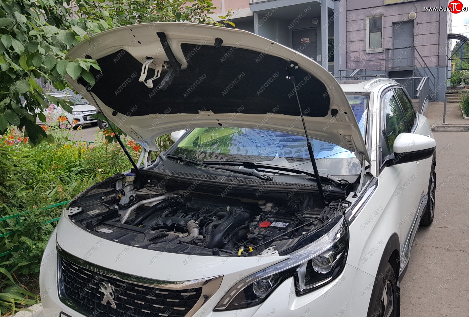 2 799 р. Упоры капота Russtal Peugeot 3008 2 (2016-2024)  с доставкой в г. Нижний Новгород