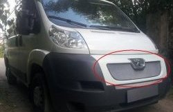 Сетка в решетку радиатора Russtal Peugeot (Пежо) Boxer (Боксер)  250 (2006-2014) 250