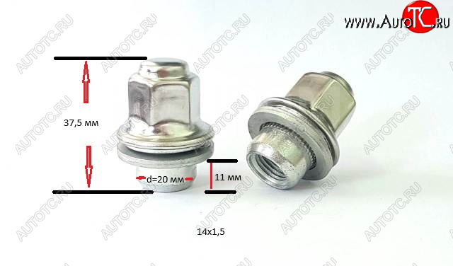 429 р. Колесная гайка (прессшайба, с нерж. колпачком, 37.5 мм) Вектор M14x1.5    с доставкой в г. Нижний Новгород