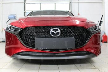 Защитная сетка в бампер (низ, ячейка 3х7 мм) Alfeco Стандарт Mazda 3/Axela BP хэтчбэк (2019-2025) ()