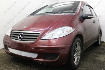 3 199 р. Защитная сетка в бампер (низ, ячейка 3х7 мм) Alfeco Стандарт Mercedes-Benz A class W169 дорестайлинг, хэтчбэк 5 дв. (2005-2008) (Хром)  с доставкой в г. Нижний Новгород. Увеличить фотографию 3