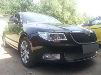 4 299 р. Защитная сетка в бампер (низ, ячейка 4х10 мм) Стрелка11 Премиум  Skoda Superb ( B6 (3T),  B6 (3T5)) (2008-2013) лифтбэк дорестайлинг, универсал доресталийнг (Хром)  с доставкой в г. Нижний Новгород. Увеличить фотографию 2