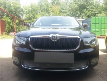 4 299 р. Защитная сетка в бампер (низ, ячейка 4х10 мм) Стрелка11 Премиум  Skoda Superb ( B6 (3T),  B6 (3T5)) (2008-2013) лифтбэк дорестайлинг, универсал доресталийнг (Хром)  с доставкой в г. Нижний Новгород. Увеличить фотографию 1