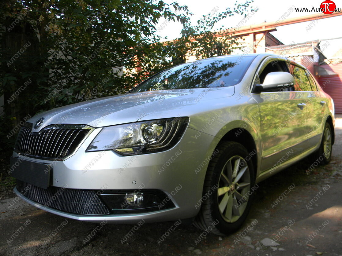 4 599 р. Защитная сетка в бампер (низ, ячейка 4х10 мм) Стрелка11 Премиум Skoda Superb (B6) 3T лифтбэк рестайлинг (2013-2015) (Чёрная)  с доставкой в г. Нижний Новгород