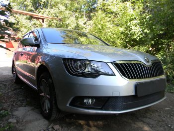 4 599 р. Защитная сетка в бампер (низ, ячейка 4х10 мм) Стрелка11 Премиум Skoda Superb (B6) 3T лифтбэк рестайлинг (2013-2015) (Чёрная)  с доставкой в г. Нижний Новгород. Увеличить фотографию 3