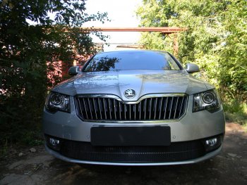 4 599 р. Защитная сетка в бампер (низ, ячейка 4х10 мм) Стрелка11 Премиум Skoda Superb (B6) 3T лифтбэк рестайлинг (2013-2015) (Чёрная)  с доставкой в г. Нижний Новгород. Увеличить фотографию 2