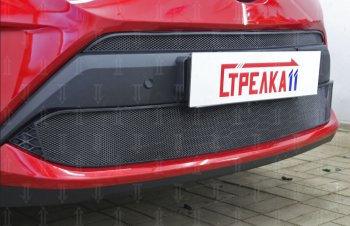 Защитная сетка в бампер (низ, ячейка 4х10 мм) Стрелка11 Премиум Toyota C-HR NGX10, ZGX10 рестайлинг (2019-2024)  (Чёрная)