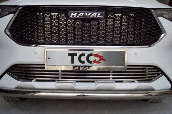 Нижняя декоративная вставка в бампер ТСС Тюнинг Haval (Хавал) F7 (Ф7) (2018-2022)  дорестайлинг ()