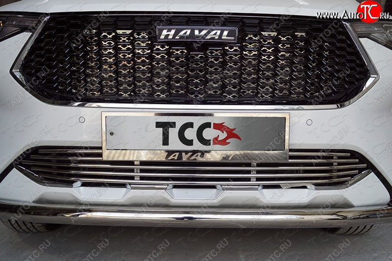 7 699 р. Нижняя декоративная вставка в бампер ТСС Тюнинг  Haval F7 (2018-2022)  дорестайлинг (d 12 мм)  с доставкой в г. Нижний Новгород