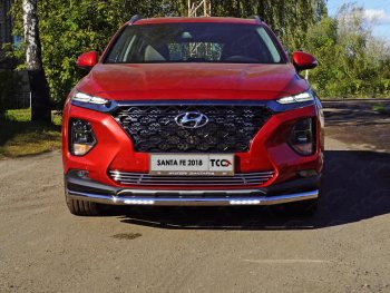 Защита переднего бампера нижняя с ДХО 60,3 мм ТСС Тюнинг Hyundai (Хюндаи) Santa Fe (Санта)  TM (2018-2021) TM дорестайлинг  (нержавейка)