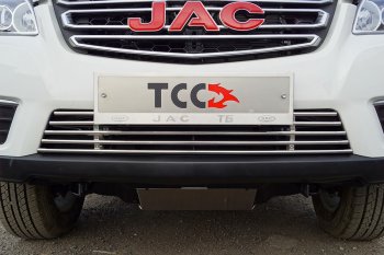 Декоративная вставка решетки радиатора ТСС Тюнинг JAC T6 пикап (2018-2024) ()