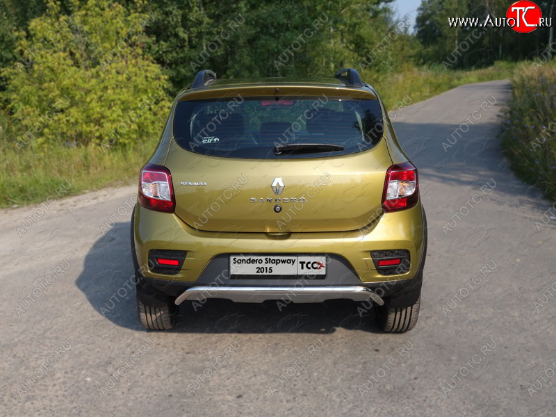 12 299 р. Защита задняя (нержавейка 42,4 мм), ТСС Тюнинг  Renault Sandero Stepway  (B8) (2014-2018) дорестайлинг  с доставкой в г. Нижний Новгород