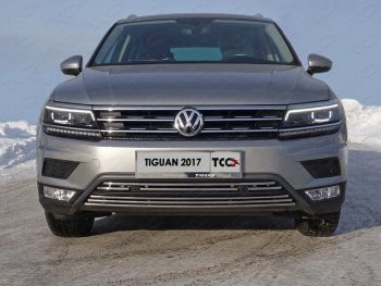 Нижняя декоративная вставка в бампер (пакет Offroad) ТСС Тюнинг Volkswagen (Волксваген) Tiguan (Тигуан)  Mk2 (2016-2020) Mk2 дорестайлинг ()