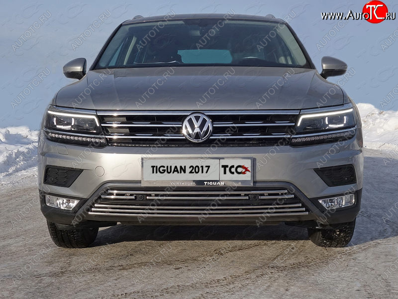 7 699 р. Нижняя декоративная вставка в бампер (пакет Offroad) ТСС Тюнинг  Volkswagen Tiguan  Mk2 (2016-2020) дорестайлинг (d 16 мм)  с доставкой в г. Нижний Новгород