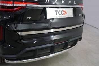 Накладка на заднюю дверь, ТСС Тюнинг Haval (Хавал) F7 (Ф7) (2022-2024) рестайлинг