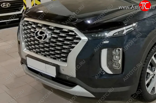 3 089 р. Дефлектор капота SIM Hyundai Palisade LX2 (2018-2022)  с доставкой в г. Нижний Новгород