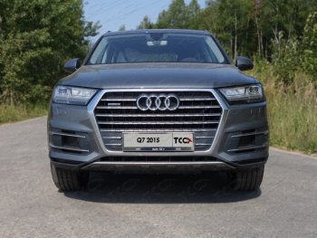 Рамка гос. номера ТСС Тюнинг Audi (Ауди) Q7 (Ку7)  4M (2015-2020) 4M дорестайлинг ()