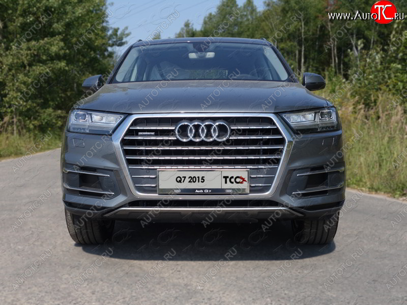 6 449 р. Рамка гос. номера ТСС Тюнинг  Audi Q7  4M (2015-2020) дорестайлинг (нержавейка)  с доставкой в г. Нижний Новгород