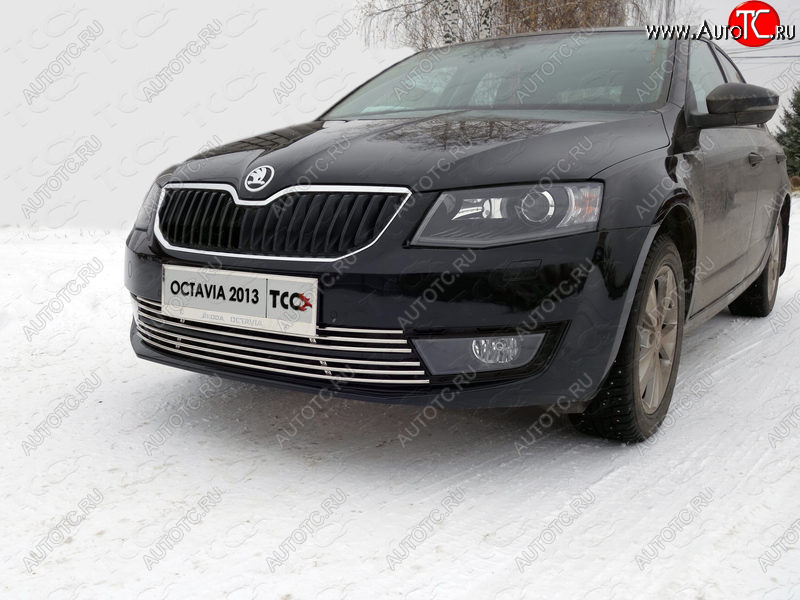 6 249 р. Рамка гос. номера ТСС Тюнинг Skoda Octavia A7 дорестайлинг лифтбэк (2012-2017) (нержавейка)  с доставкой в г. Нижний Новгород