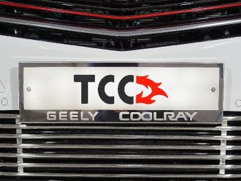 Рамка гос. номера ТСС Тюнинг Geely (Джили) Coolray (Кулрей)  SX11 (2018-2023) SX11 дорестайлинг ()