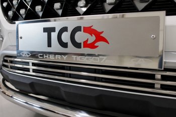 Рамка гос. номера ТСС Тюнинг Chery (Черри) Tiggo 7 PRO (Тиго) (2019-2025) ()