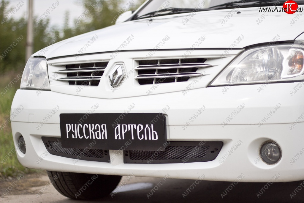 1 799 р. Защитная сетка решетки переднего бампера РА Renault Logan 1 дорестайлинг (2004-2010)  с доставкой в г. Нижний Новгород