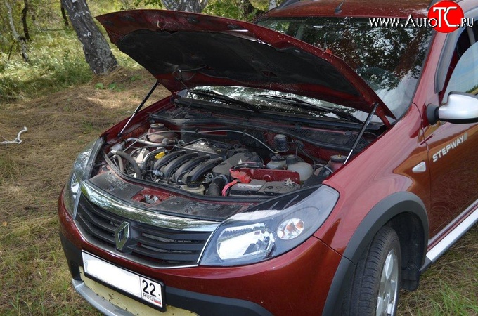 2 969 р. Упор капота Sport. Renault Sandero (BS) (2009-2014)  с доставкой в г. Нижний Новгород