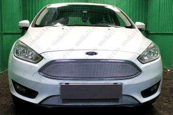 Защитная сетка в бампер (ячейка 4х10 мм, нижняя часть) Alfeco Премиум Ford Focus 3 хэтчбэк рестайлинг (2014-2019)