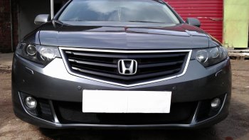 Защитная сетка радиатора в бампер (ячейка 3х7 мм) Стрелка11 Стандарт Honda Accord CU седан дорестайлинг (2008-2011)