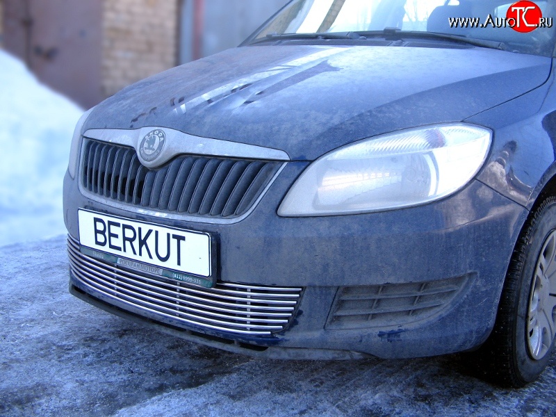 5 899 р. Декоративная вставка воздухозаборника Berkut Skoda Fabia Mk2 универсал дорестайлинг (2007-2010)  с доставкой в г. Нижний Новгород