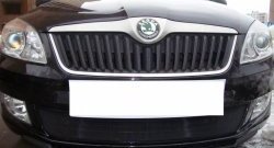 1 469 р. Сетка на бампер (рестайлинг) Russtal (черная) Skoda Fabia Mk2 универсал дорестайлинг (2007-2010)  с доставкой в г. Нижний Новгород. Увеличить фотографию 4