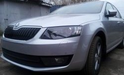 2 569 р. Сетка (для комплектации Ambition, Elegance) на бампер Russtal (черная) Skoda Octavia A7 дорестайлинг лифтбэк (2012-2017)  с доставкой в г. Нижний Новгород. Увеличить фотографию 2