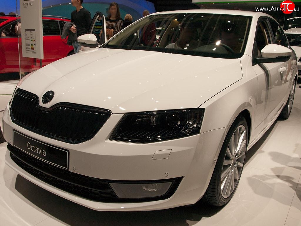 2 569 р. Сетка (для комплектации Ambition, Elegance) на бампер Russtal (черная) Skoda Octavia A7 дорестайлинг лифтбэк (2012-2017)  с доставкой в г. Нижний Новгород